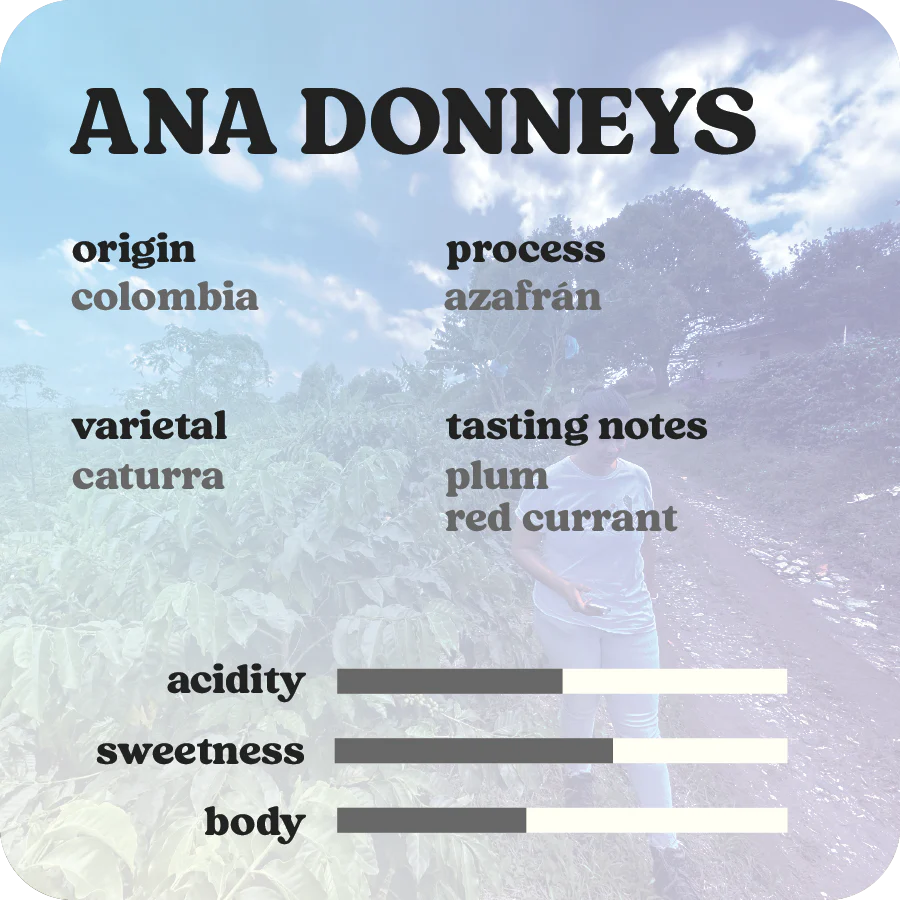 Ana Donneys  |  July 2024