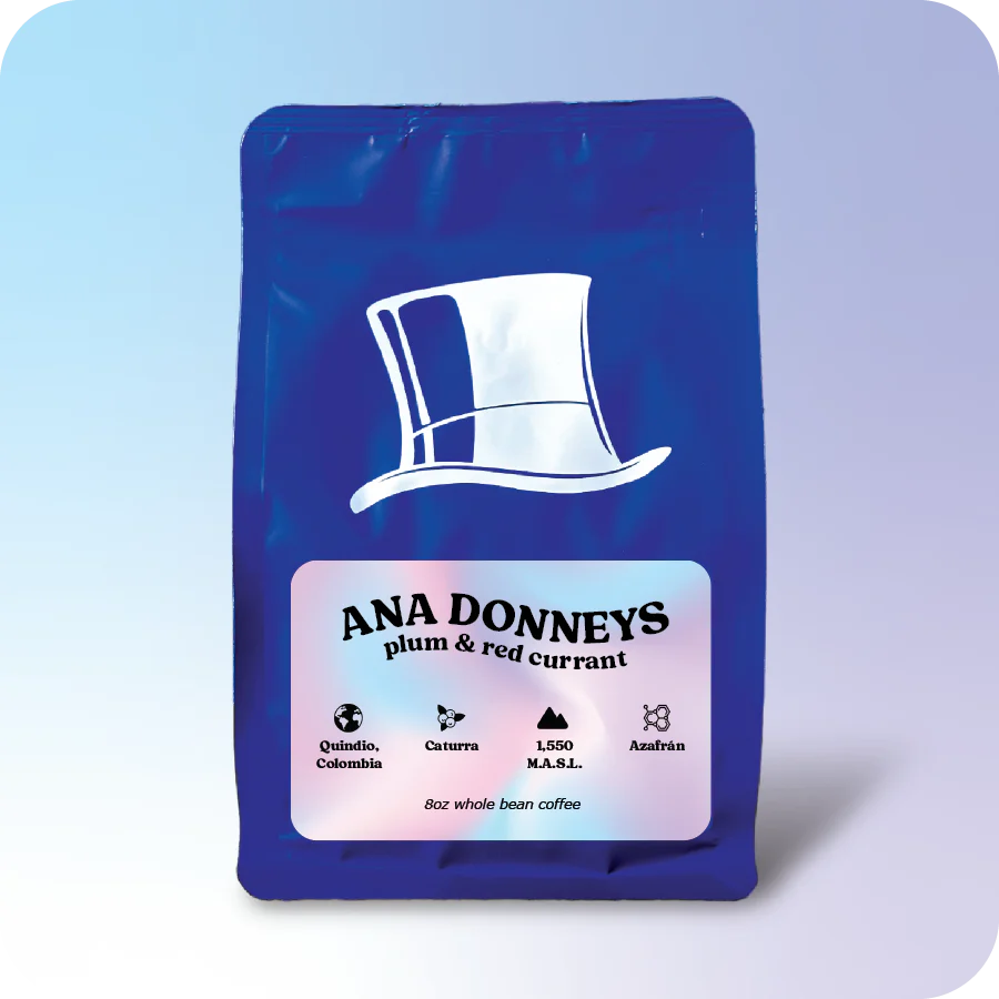 Ana Donneys  |  July 2024 - Image 2