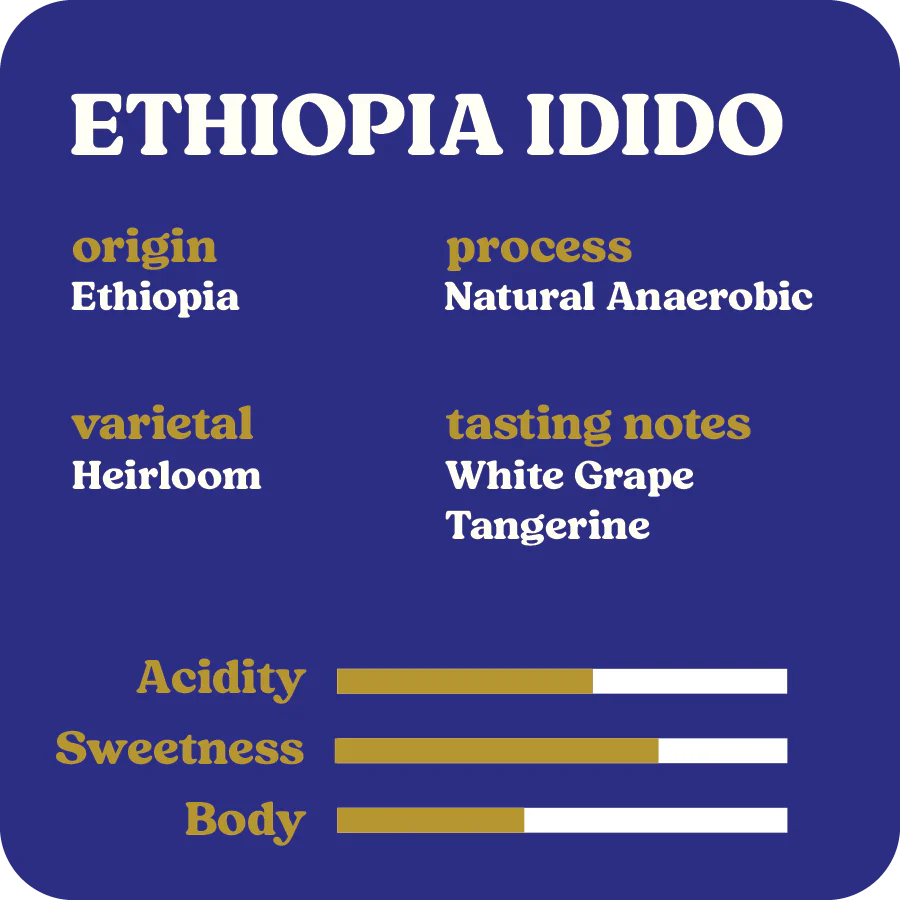 Ethiopia Idido  |  October 2024