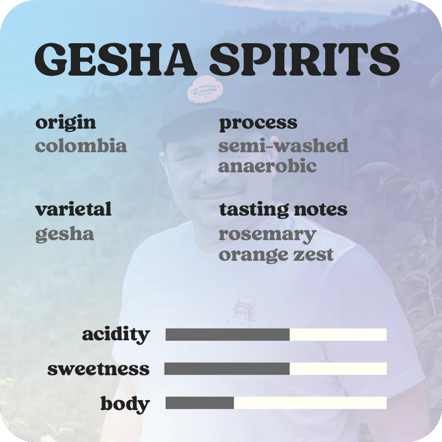 Gesha Spirits  |  September 2024