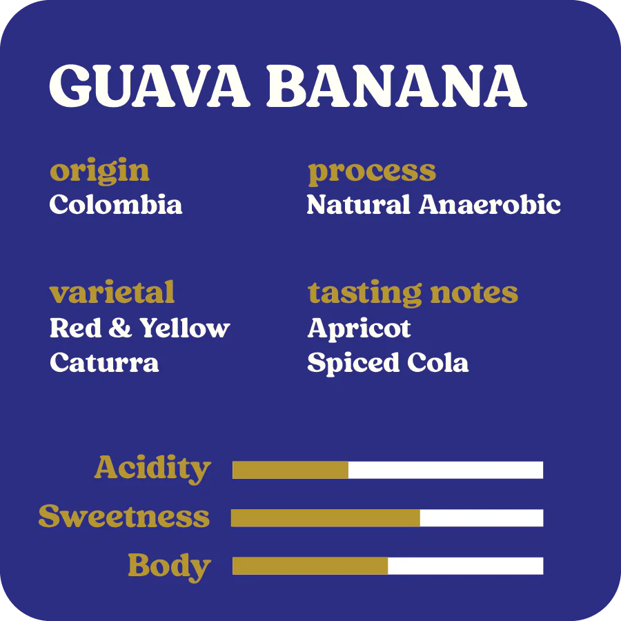 Guava Banana  |  April 2025