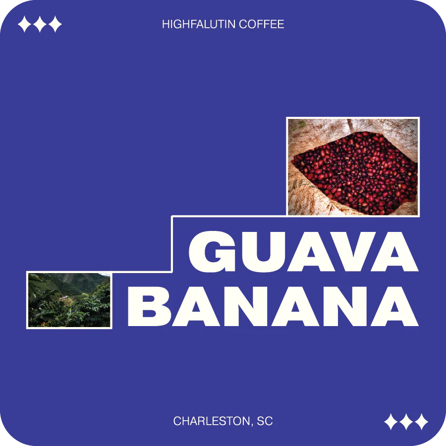 Guava Banana  |  April 2025 - Image 3