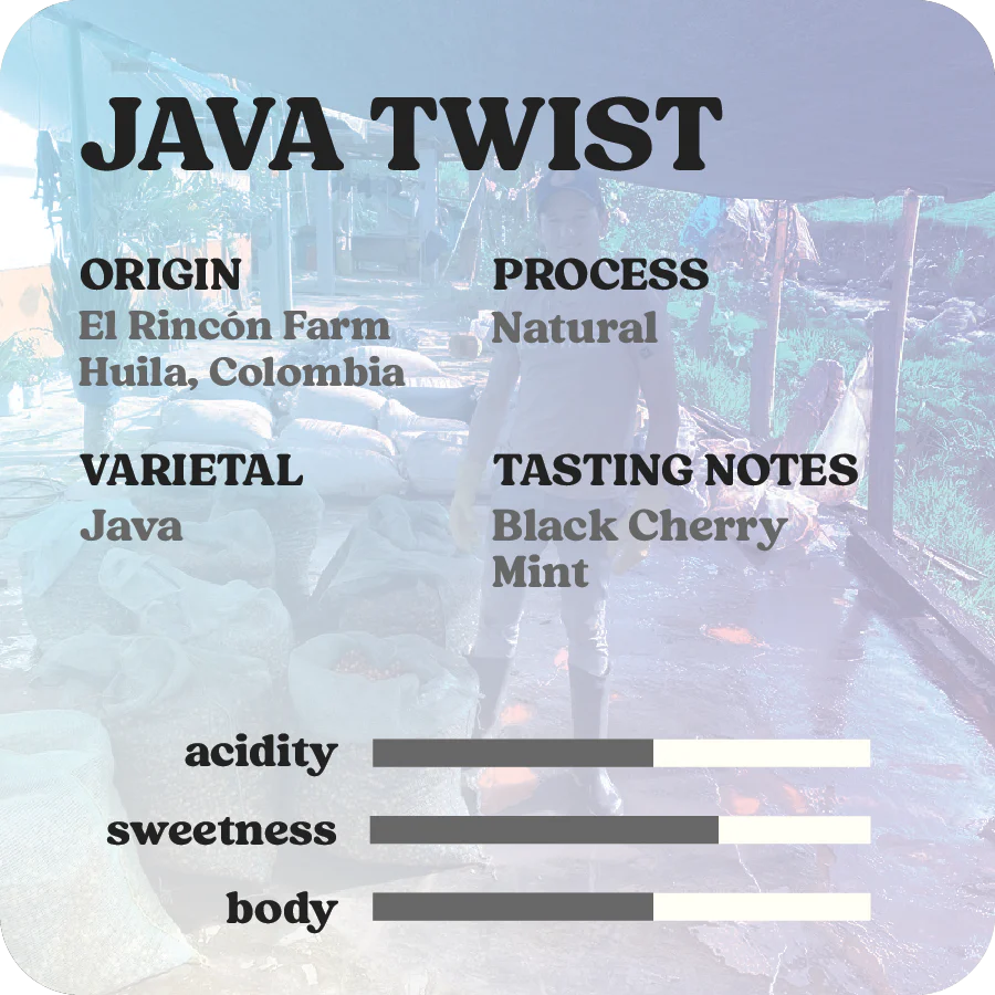 Java Twist  |  September 2025