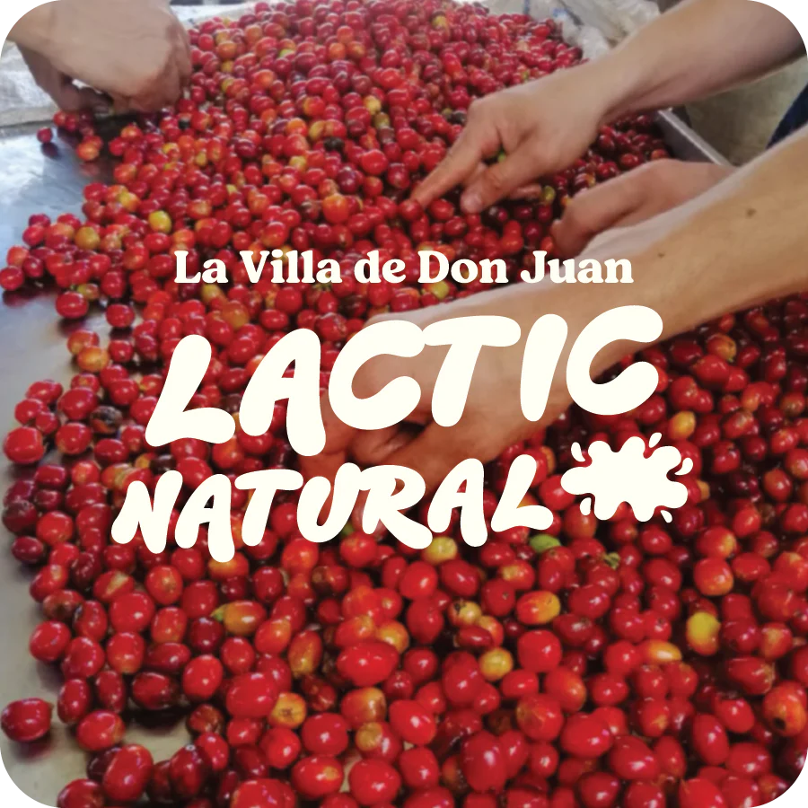 La Villa de Don Juan  |  November 2024 - Image 3