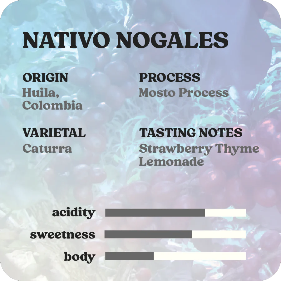 Nativo Nogales  |  March 2025