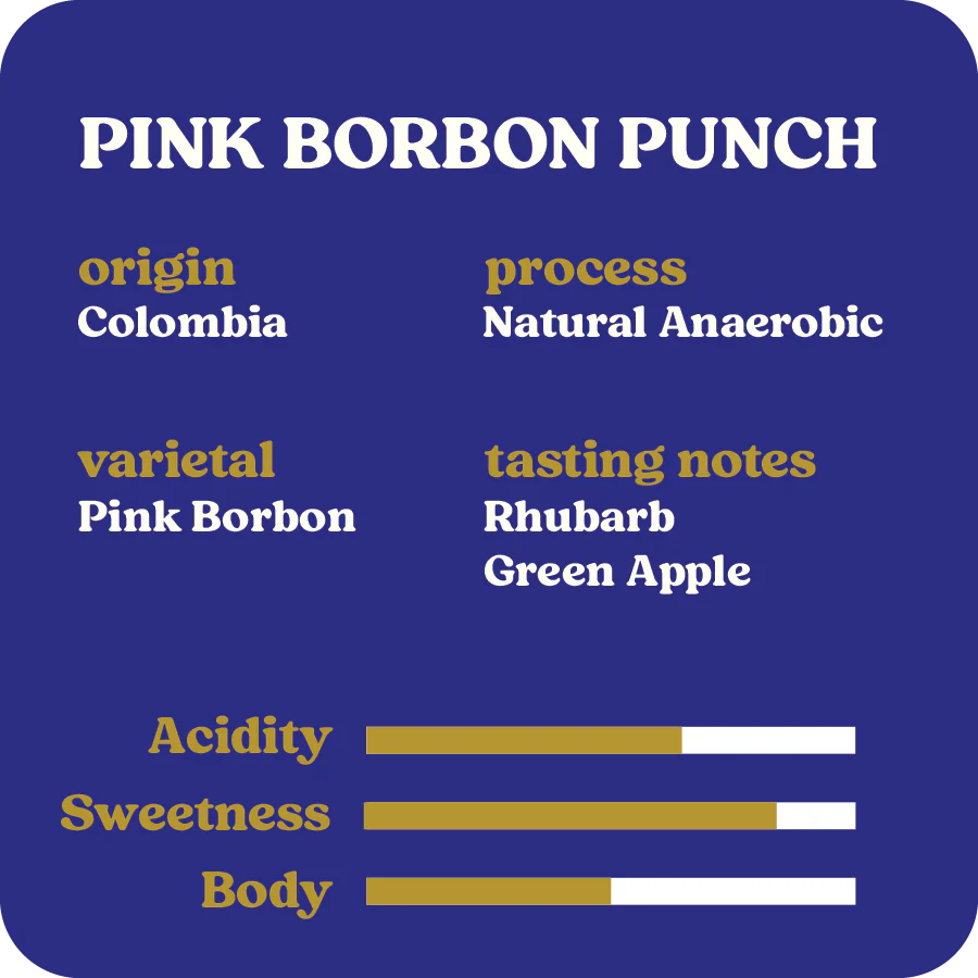 Pink Borbon Punch  |  September 2024