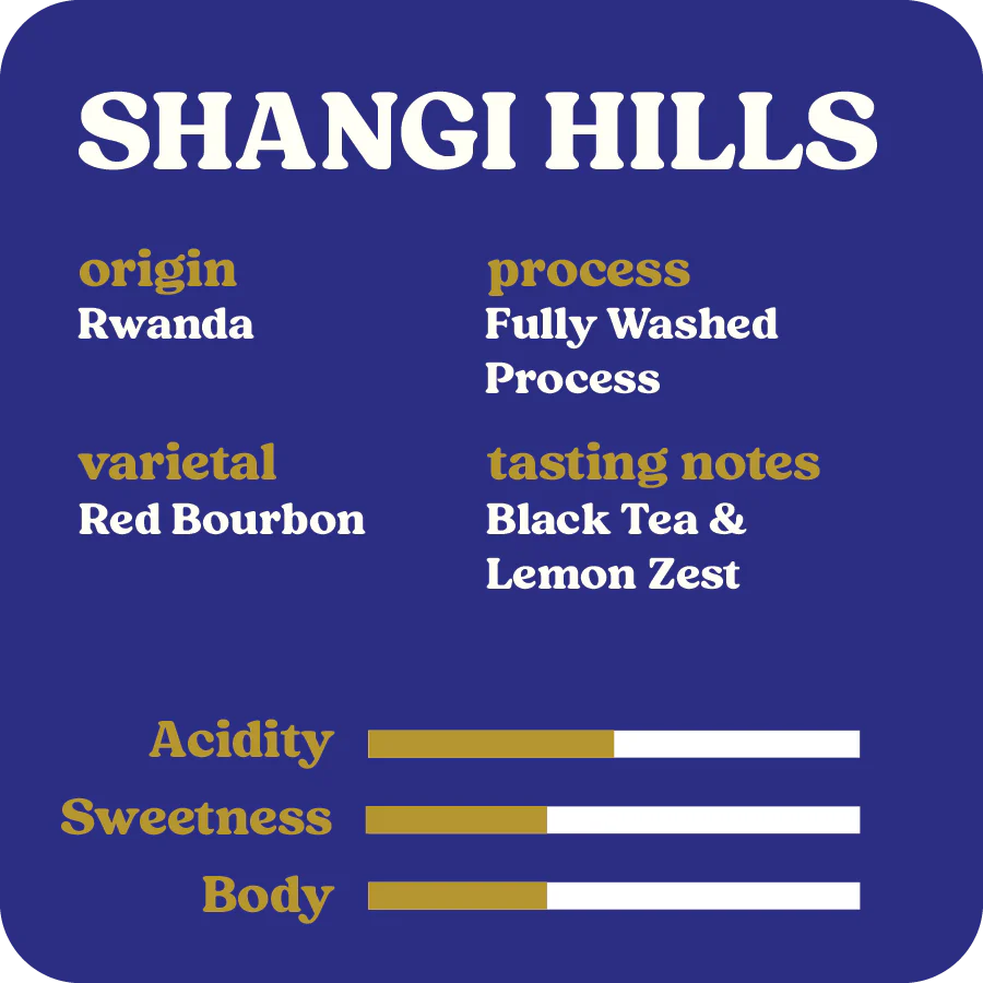 Shangi Hills  |  May 2025